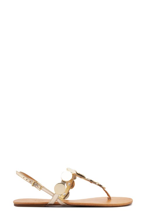 SCHUTZ SCHUTZ ACACIA T-STRAP SANDAL