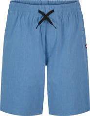Quiksilver Kids' Eddie Hybrid Shorts