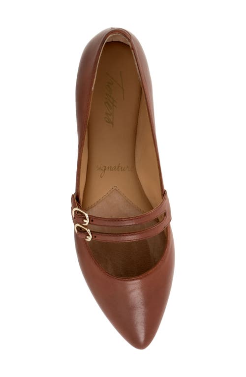 Trotters Emerald Pointed Toe Mary Jane Flat In Luggage
