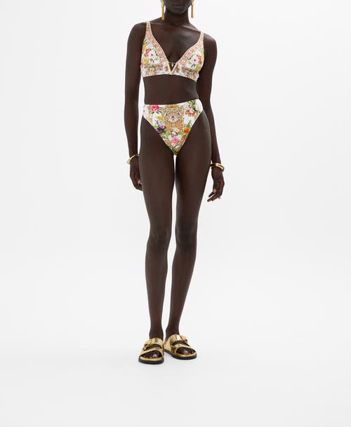 High Waist Cheeky Pant Egyptian Rose In Egyptian Rose