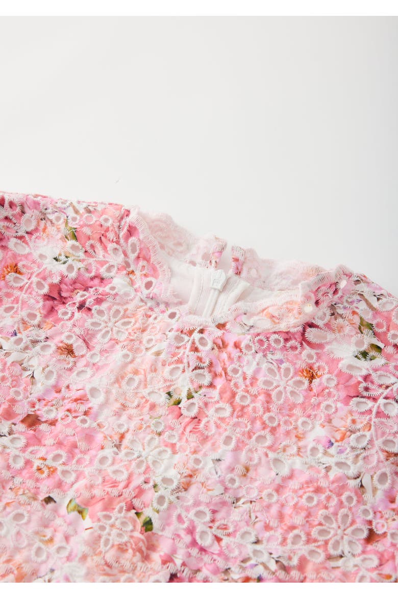 Julietta Cotton Embroidered Mini Dress, Alternate, color, Floral
