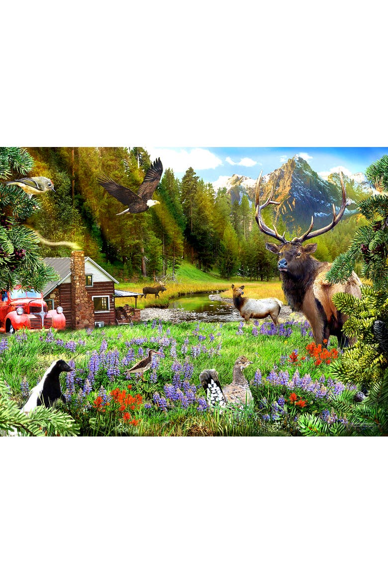 Out in the Woods 1000 piece Jigsaw Puzzle for Adults, Alternate, color, Multicolor