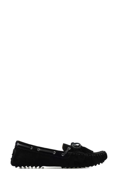 National Comfort Shyanne Suede Loafer In Black Suede