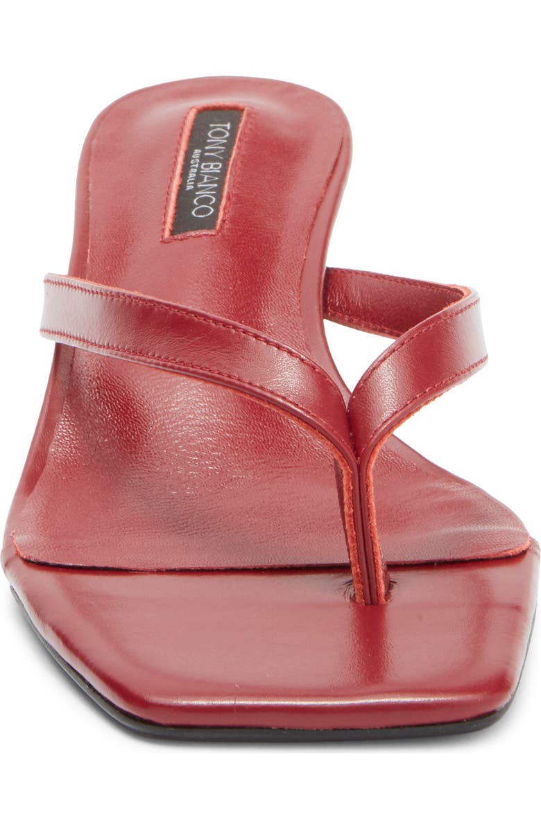 Tony Bianco Topaz Flip Flop, Alternate, color, Berry Venice