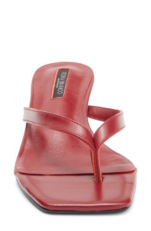 Tony Bianco Topaz Flip Flop In Berry Venice