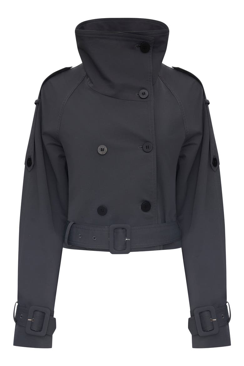 Blanc Crop Trench Coat, Alternate, color, SLATE