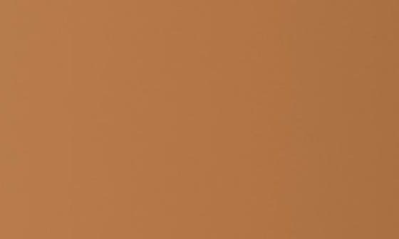 9.1 TAN WARM PEACH