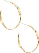 ALBISIA Scallop Hoops