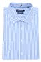  White/ Blue Stripe