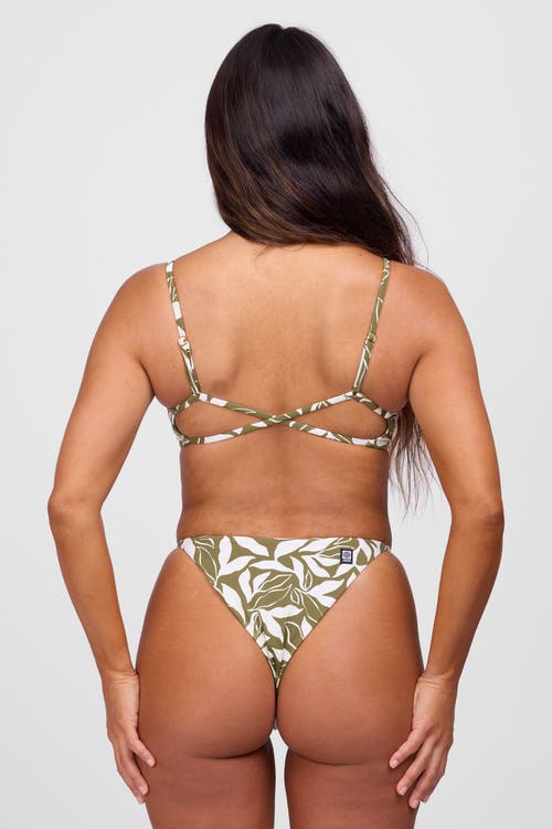 Jolyn Brooklyn Bikini Bottom