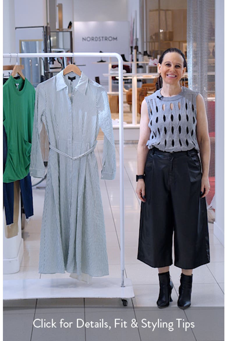Lynn Vertical Stripe Button-Up Midi Shirtdress video