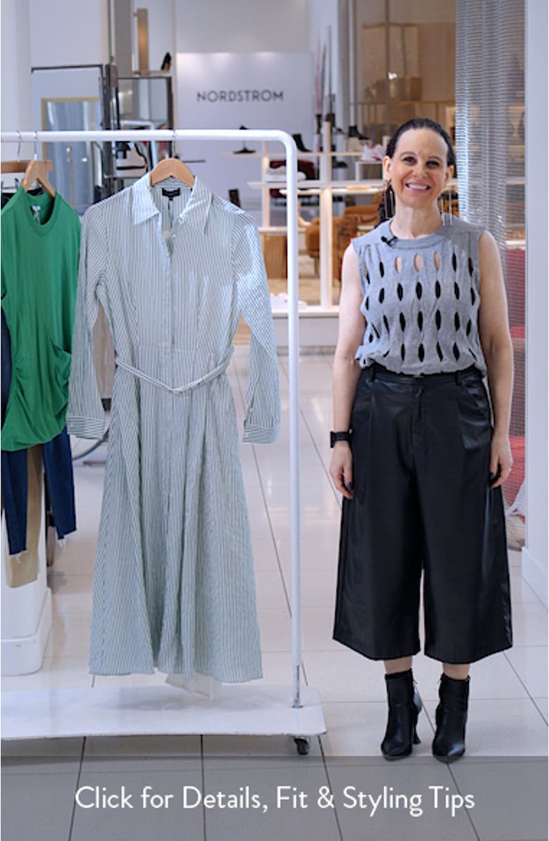 Lynn Vertical Stripe Button-Up Midi Shirtdress, sales video thumbnail