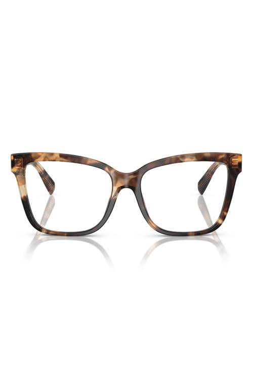 Tiffany & Co . 55mm Cat Eye Optical Glasses In Brown Havana
