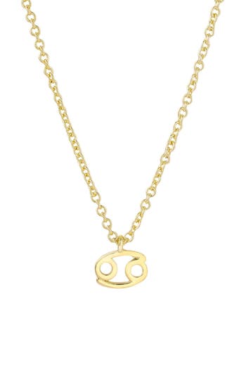 Adornia Zodiac Sign Pendant Necklace