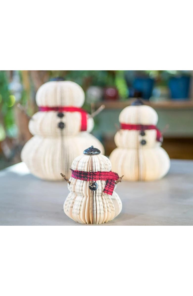 Root to Vine Book Snowman, Alternate, color, 