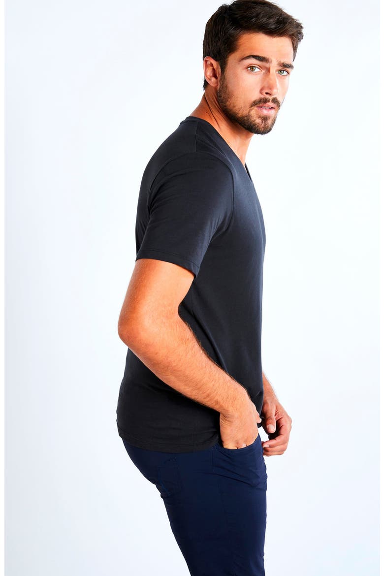 Vince V-Neck T-Shirt, Alternate, color, Black