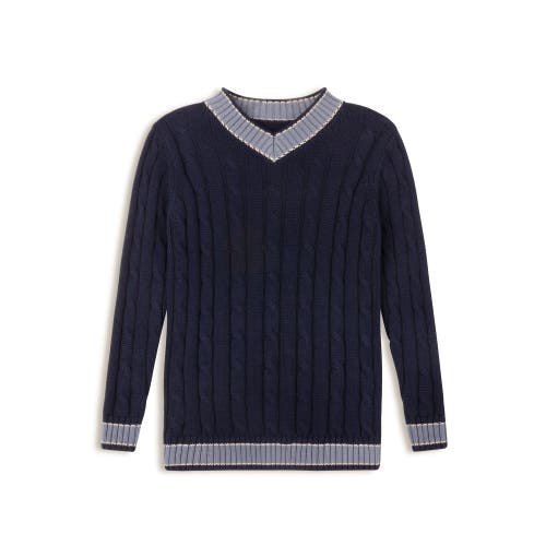 Ely's & Co. Looms Cable Knit Boys Collection In Blue
