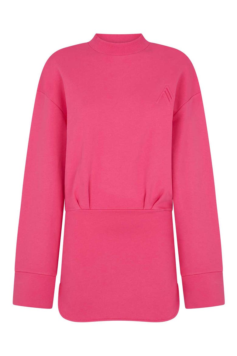 Palmer Long Sleeve Cotton Fleece Minidress, Alternate, color, STRAWBERRY