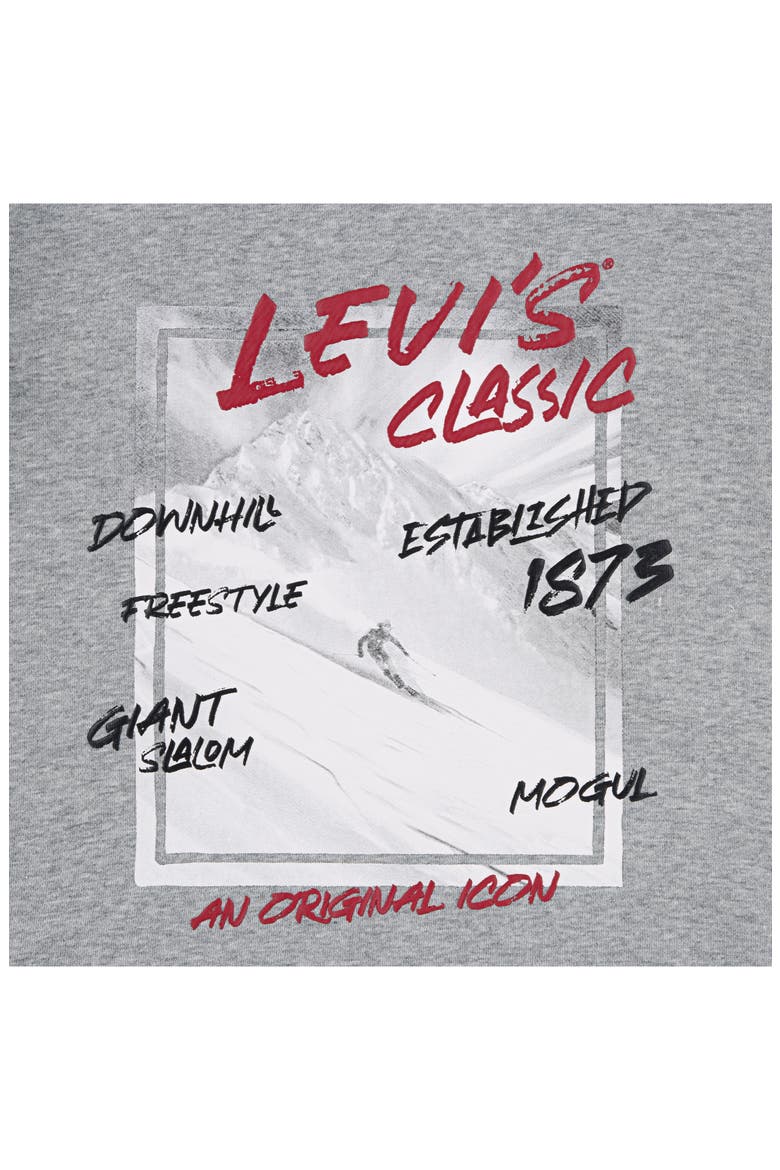 Kids' Graphic Hoodie, Alternate, color, GREY HEATHER