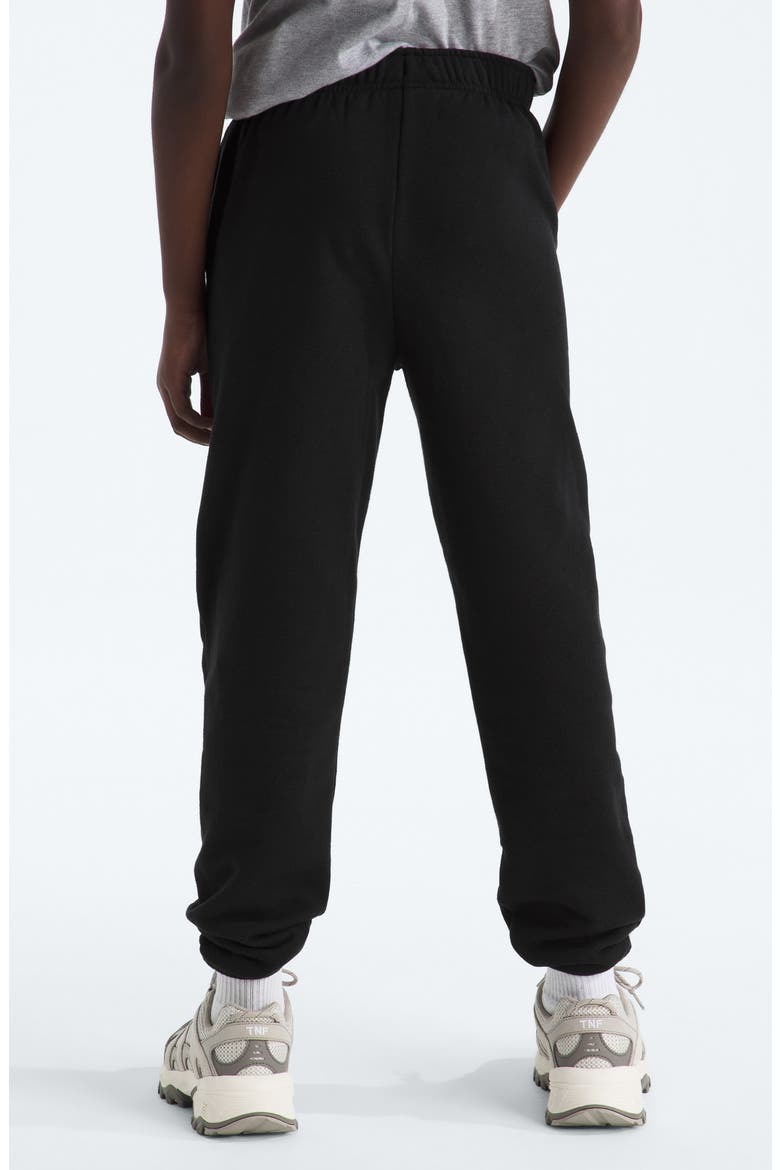 Kids' Evolution Joggers, Alternate, color, TNF BLACK