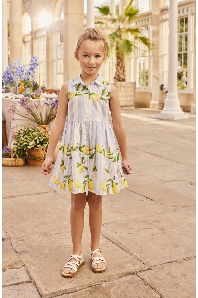 Stripe Lemon Print Cotton Shirtdress, Alternate, color, BLUE