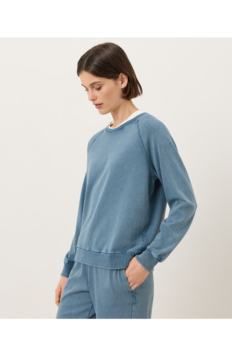 Pact Organic Cotton Weekends Relaxed Raglan Sweatshirt, Alternate, color, Washed Wedgewood Blue