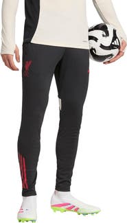 adidas Men's adidas  Black Liverpool 2025/26 AEROREADY Training Pants