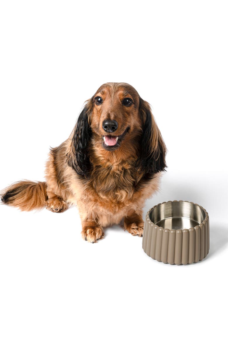 Ripple Ridge Slanted Concrete and Stainless Steel Bowl Pet Feeder, Main, color, Brown
