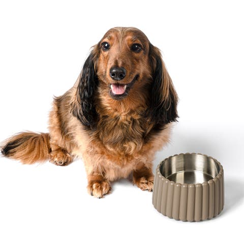 Ripple Ridge Small/Medium Slanted Concrete and Stainless Steel Bowl 16oz (2 Cups) Pet Feeder