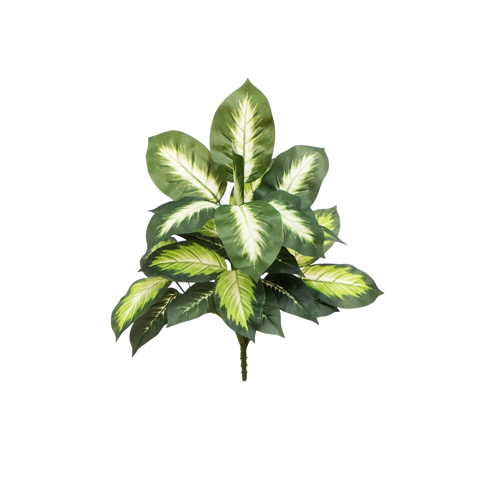 selected Green