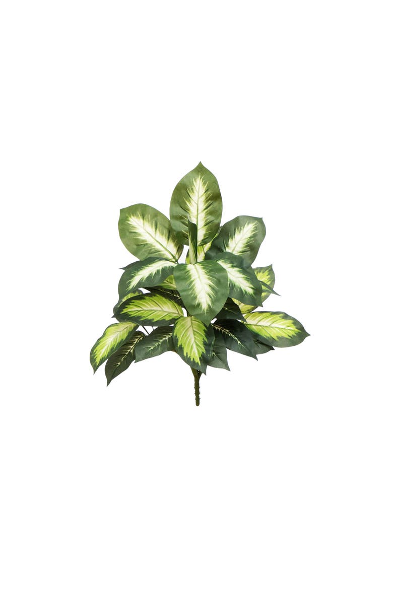 20-in Artificial Golden Dieffenbachia Plant - Set of 6, Main, color, Green