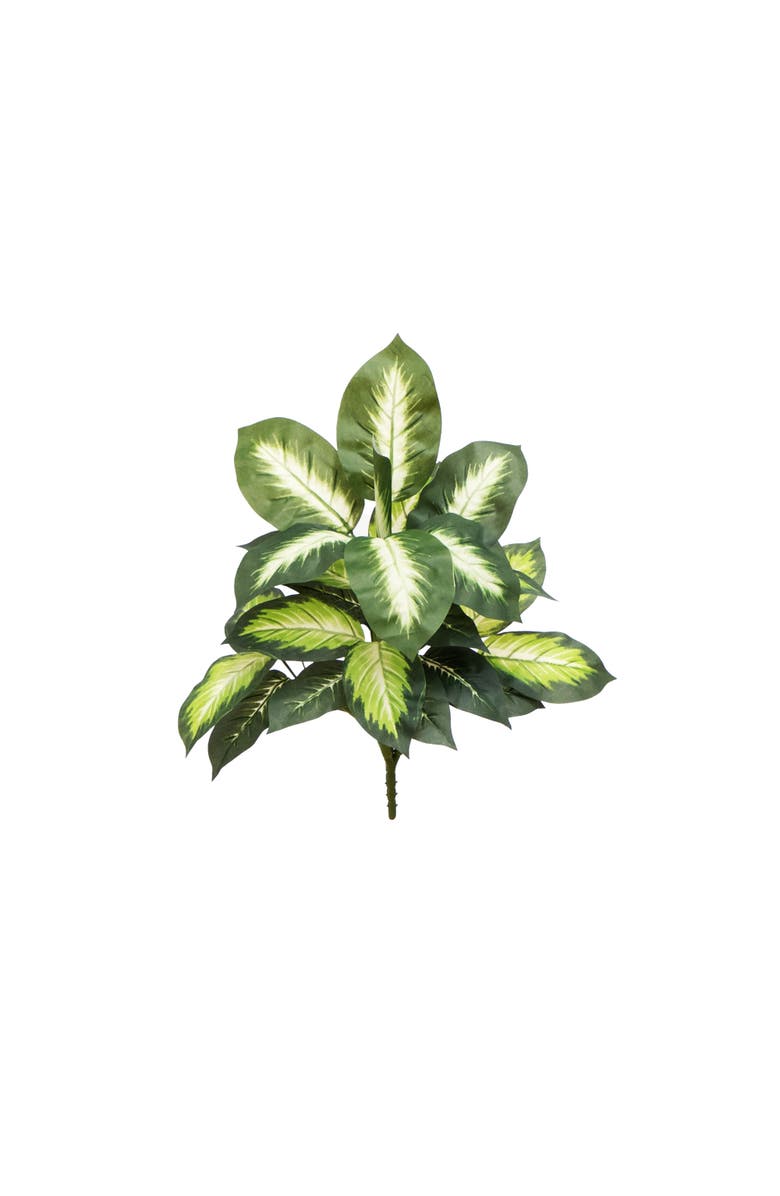 NEARLY NATURAL 20-in Artificial Golden Dieffenbachia Plant - Set of 6, Main, color, Green