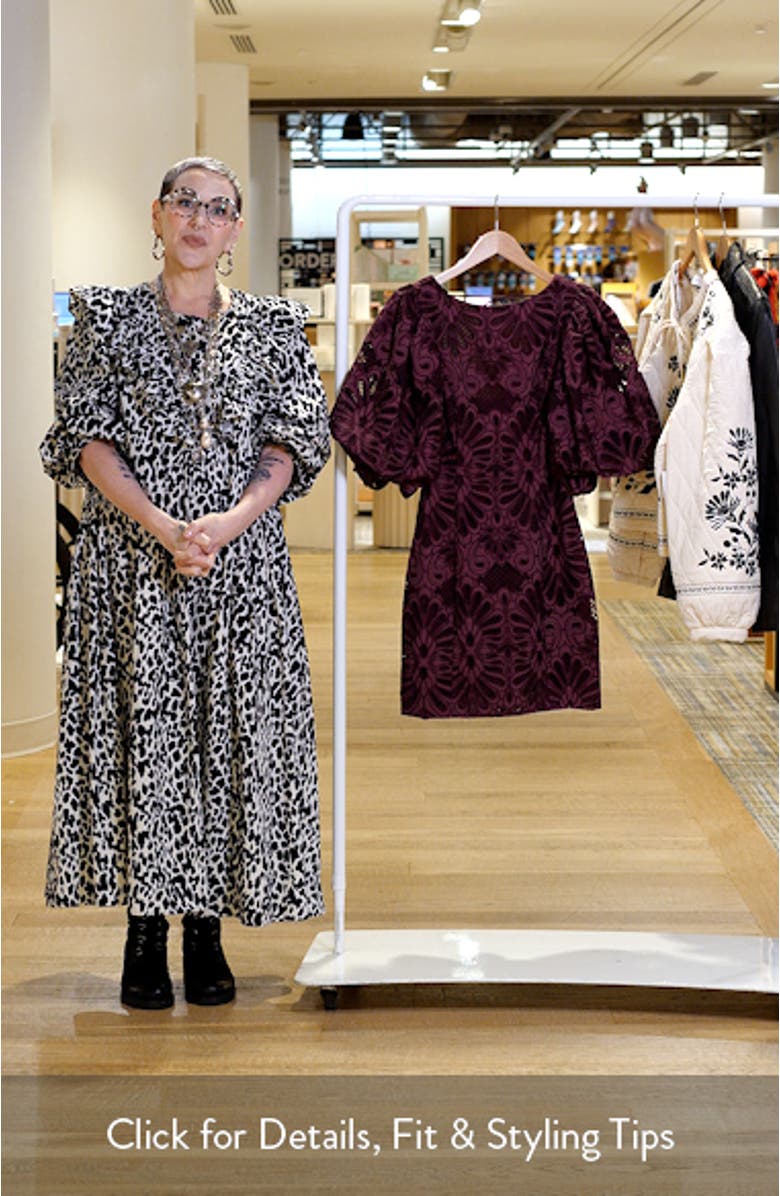 Kesia Embroidered Paisley Minidress, sales video thumbnail