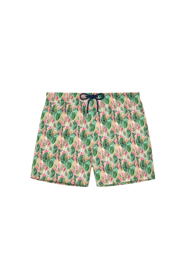 Taormina Beach Boxer, Main, color, Green Print