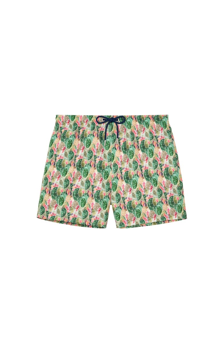 HOM Taormina Beach Boxer, Main, color, Green Print