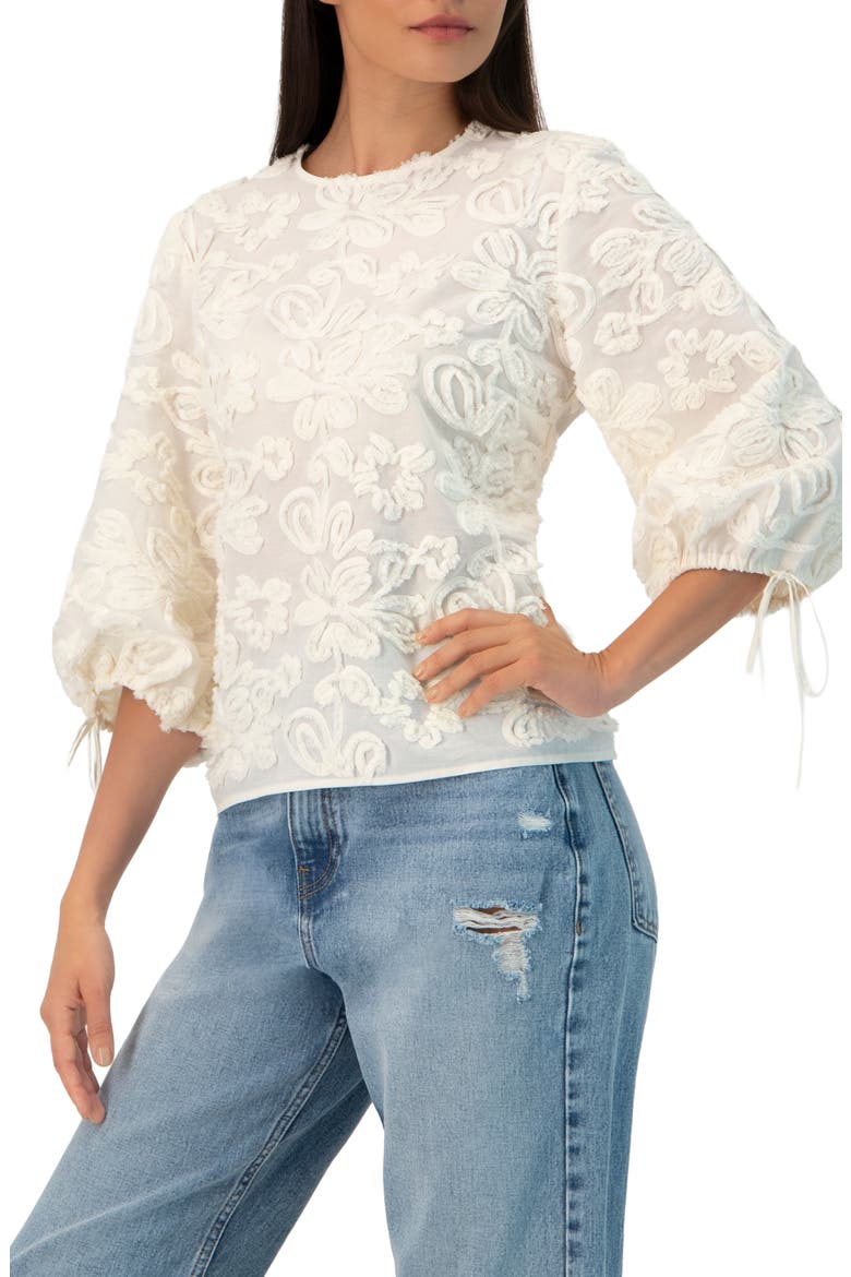 Long Sleeve Floral Aplique Blouse, Alternate, color, Ivory