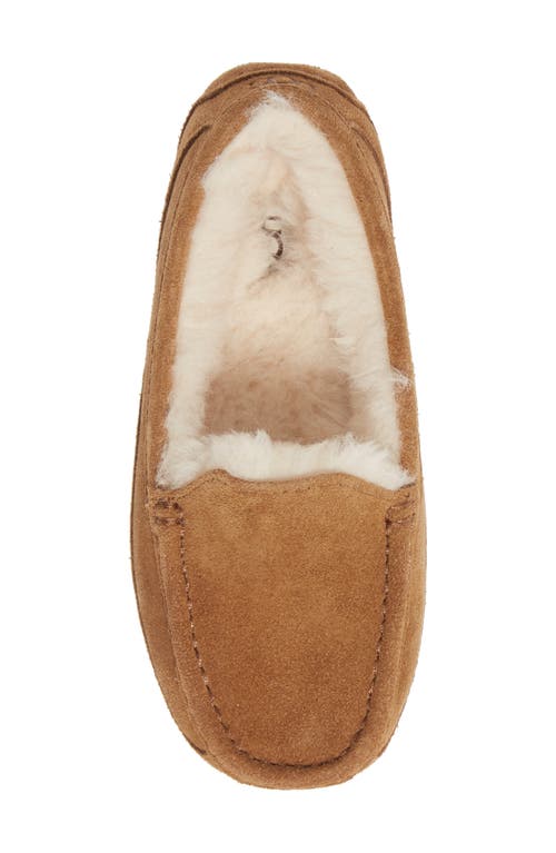 Ugg Boy's Ascot Suede Slippers W/ Wool-lining, Kids In Brown