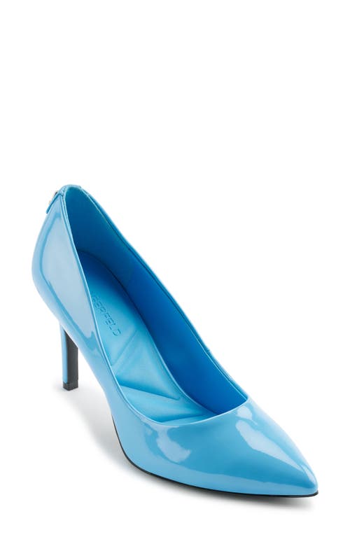 KARL LAGERFELD KARL LAGERFELD ROYALE POINTED TOE PUMP