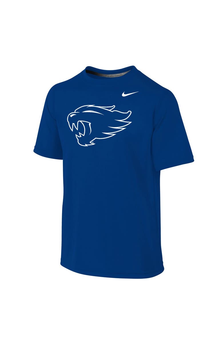 Nike Youth Nike Royal Kentucky Wildcats Legend Mascot Logo Performance T-Shirt, Main, color, 