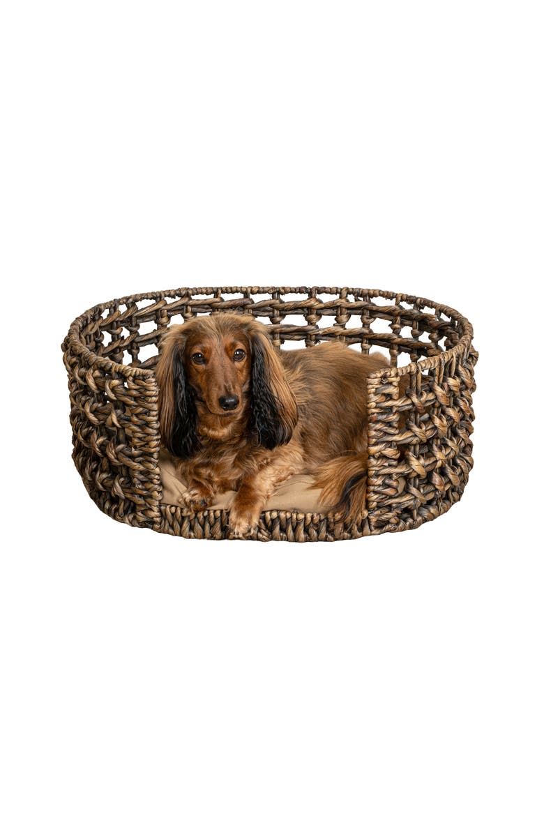 Gigi 24" x 18" Modern Handwoven Hyacinth Open-Weave Oval Pet Bed, Machine-Washable Cushion, Alternate, color, Brown