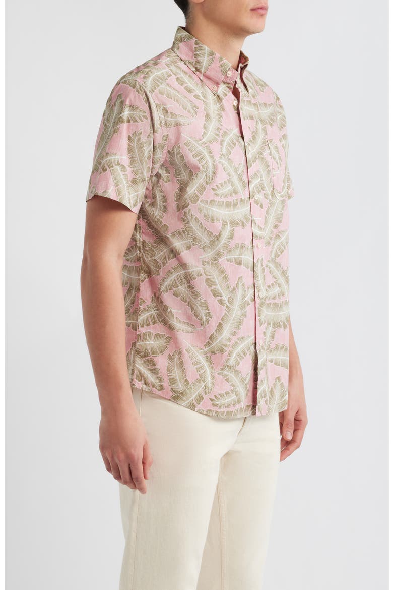 Palm Leaf Print Short Sleeve Cotton Button-Down Shirt, Alternate, color, PALM LEAF