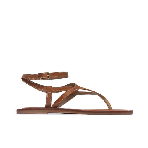 Bernardo Footwear Mallorie Thong Sandal in Luggage at Nordstrom, Size 7