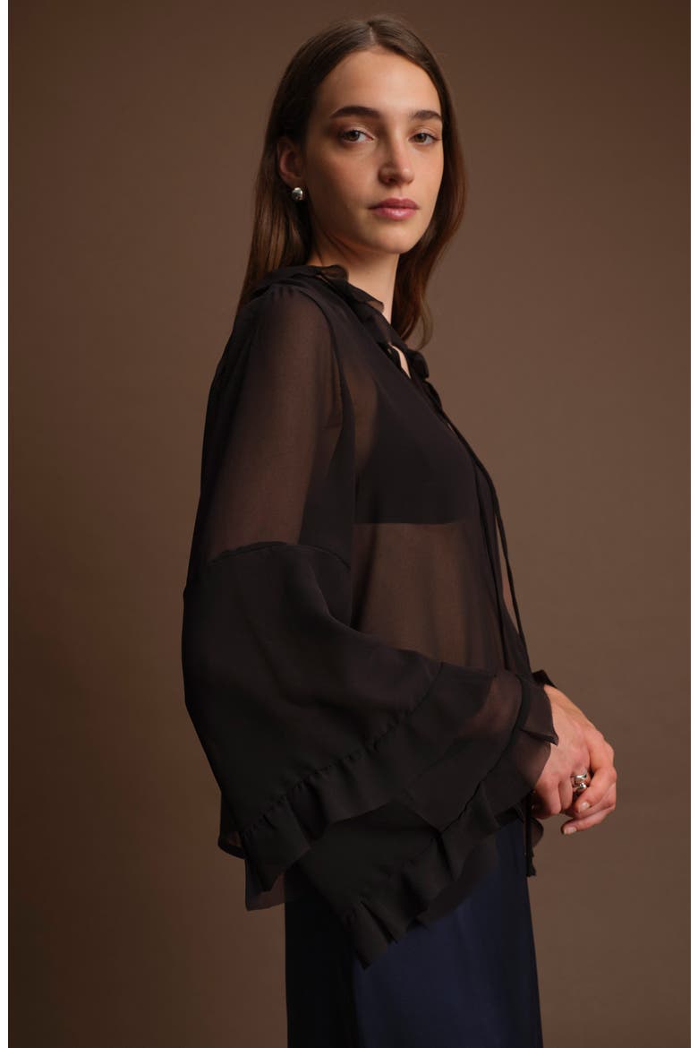 Bradley Sheer Ruffle Shirt, Alternate, color, BLACK