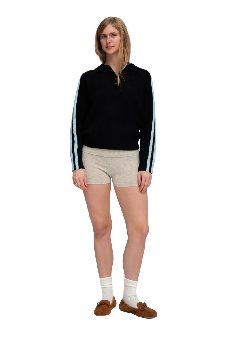 Raglan Striped Knit Polo, Alternate, color, ESPRESSO AND PWDR BLUE