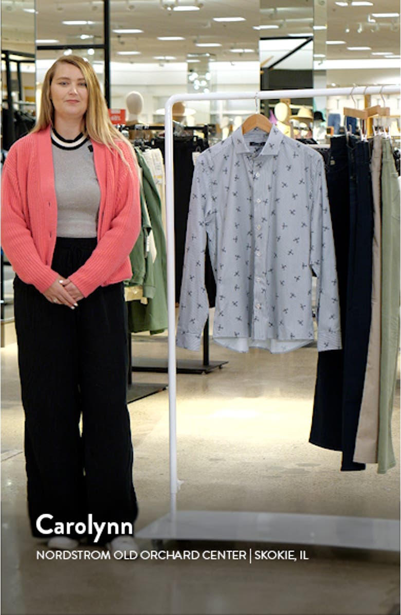 DRY TOUCH<sup>®</sup> Stripe Plane Print Performance Sateen Button-Up Shirt, sales video thumbnail