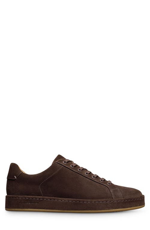 Allen Edmonds Barnes Low Top Sneaker In Brown