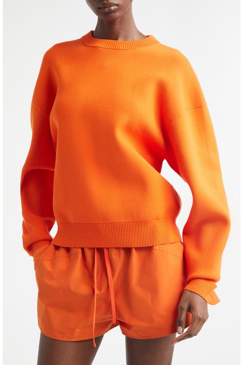 Teddy Crewneck Sweater, Alternate, color, POPPY