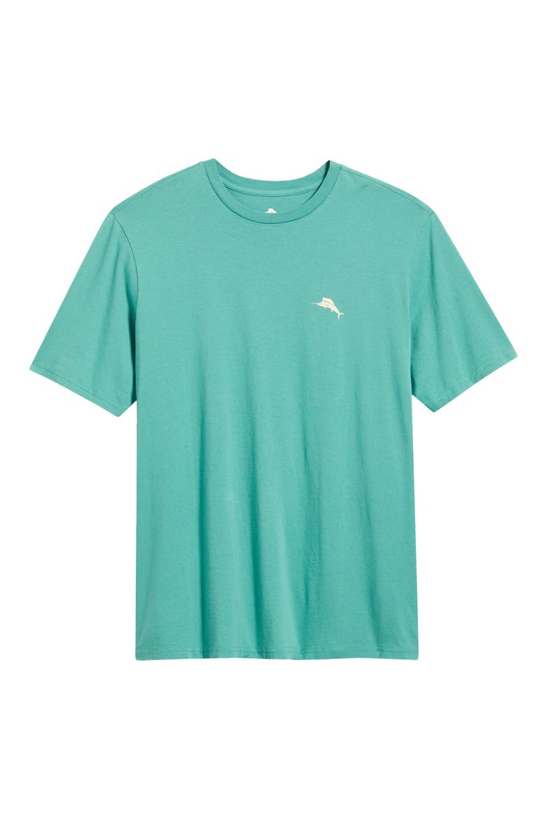 Golden Shores Graphic Tee, Alternate, color, ARUBA