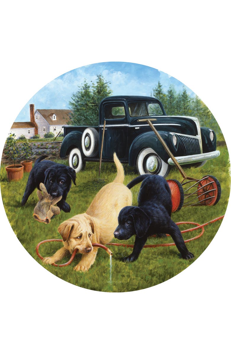 Sunsout Garden Helpers 500 piece Jigsaw Puzzle for Adults Round, Alternate, color, Multicolor