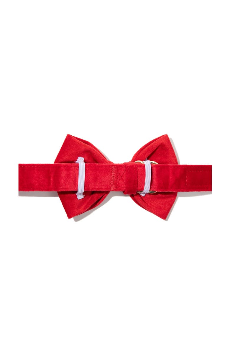 Blaze Bow Tie, Alternate, color, Blaze